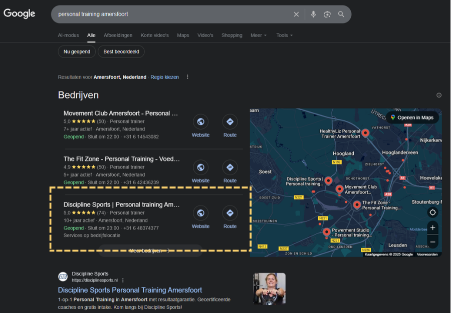 Discpline Sports SERP